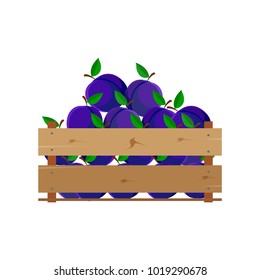 Box with plums, wooden, fruit, fresh, natural, vector.