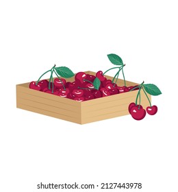 Caja con cereza de cerezo roja madura con hojas. Dulce comida deliciosa y postre saludable. Producto natural apto para vegetarianos. Fuente de vitaminas y alergias. Ilustración plana del vector