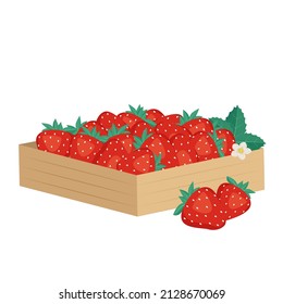 Box with ripe red strawberries. Sweet delicious food and healthy dessert. Natural product suitable for vegetarians. Source of vitamins and allergies. Vector flat illustration