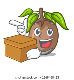With box sapodilla fruit isolated on the mascot