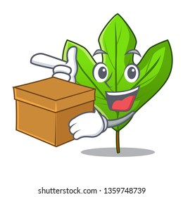 With box sassafras leaf in the cartoon stem