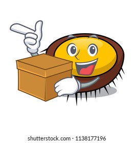 With box sea urchin character cartoon