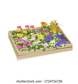 Box with seedlings of flowers.Vector illustration. Isolated on a white background.