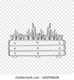 A box with seedlings. Hand drawn spring flowers in a wooden box. Spring field work. Golan Tulips Business. Organization of flower beds, landscape design. My hobby.1