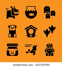 box, set, premium and caveman icon set. Vector illustration for web and design.