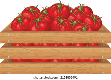 A box of tomatoes. Ripe red tomatoes in a wooden box. Vegetables in a wooden box. Vector illustration isolated on a white background