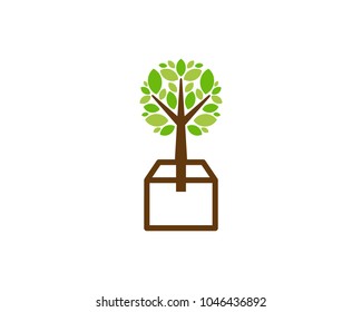Box Tree Icon Logo Design Element