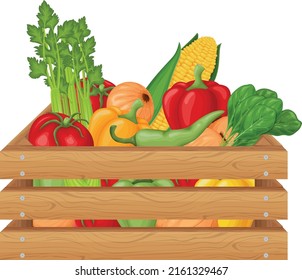 A box with vegetables such as tomatoes, peppers, onions, corn and celery and herbs. Wooden box with vegetables. Organic food from the garden. Vector