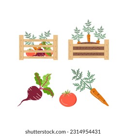 Box with vegetables. Wooden garden box with seedlings.  Mesh  bag full of vegetables. Vector illustration in flat cartoon style. Modern shopper with fresh organic food fro