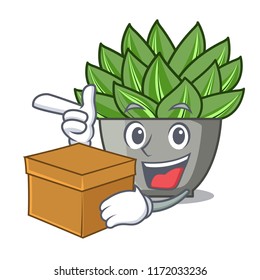 With box view of green echeveria cactus cartoon