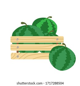 box with watermelon. Mesh eco bag full of fruits isolated on white background. Modern shopper with fresh organic food from local market.