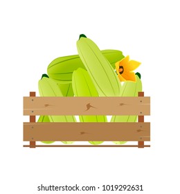 Box with zucchini, wooden, fruit, fresh, natural, vector.