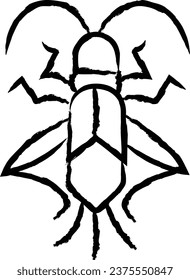 Boxelder hand drawn vector illustration
