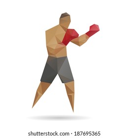 Boxer abstract isolated on a white background, vector illustration