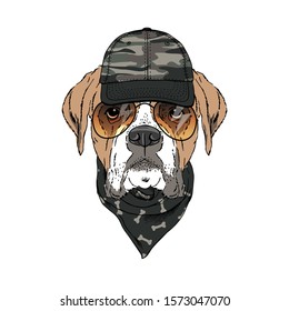 Boxer breed dog wear sunglasses, cap, bandana isolated on white background Symmetrical pet head portrait. Realistic hand drawn vector illustration.