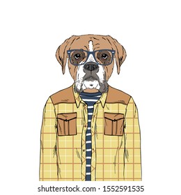 Boxer breed Hipster portrait. Fashion anthropomorphic dog illustration. Animal dressed up in plaid shirt, stripy top and glasses. Modern urban city look. Hand drawn vector.