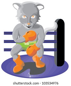 boxer cat on corner of fighting ring