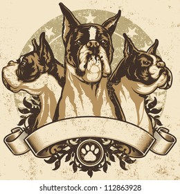 Boxer Crest Design. Vector illustration of three purebred boxer dogs (front view, profile view and 3/4 view) sitting proudly over a grunge banner and floral design elements.