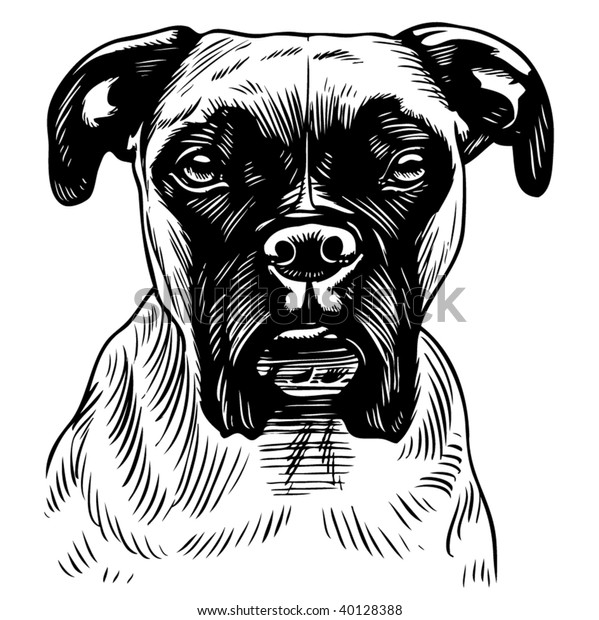 Boxer Dog Stock Vector (Royalty Free) 40128388