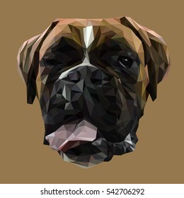 Boxer dog animal low poly design. Triangle vector illustration.