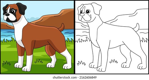 Boxer Dog Coloring Page Colored Illustration