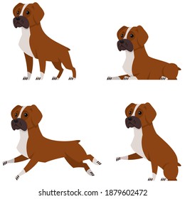 Boxer dog in different poses. Beautiful pet in cartoon style.