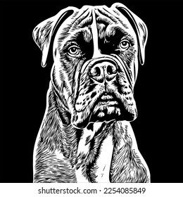 Boxer-Hund handgezeichnet Vektorgrafik Zeichnung Schwarz-Weiß-Logo Pflaumen Illustration
