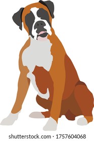 boxer dog isolated on white background vector 