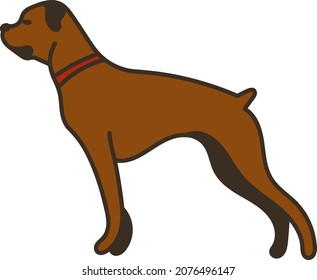 622 Boxer Side Profile Images, Stock Photos & Vectors | Shutterstock