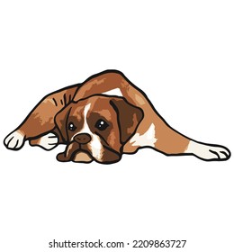 Boxer Dog Pet Colored Drawing