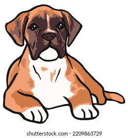 Boxer Dog Pet Colored Drawing