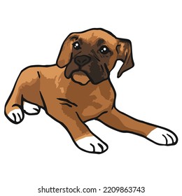 Boxer Dog Pet Colored Drawing