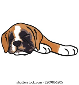 Boxer Dog Pet Colored Drawing