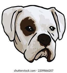 Boxer Dog Pet Colored Drawing