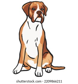 Boxer Dog Pet Colored Drawing