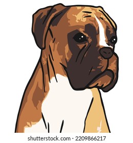 Boxer-Hunde-Farbzeichnung