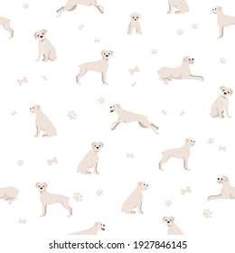 Boxer dog seamless pattern. Different poses, puppy.  Vector illustration