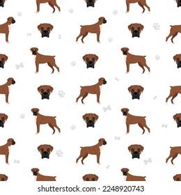 Boxer dog seamless pattern. Vector illustration