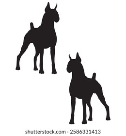 Boxer dog Silhouette, Boxer dog illustration, Boxer dog icon Silhouette, Boxer dog Silhouette illustration