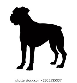 Boxer dog silhouette isolated on a white background. Vector illustration