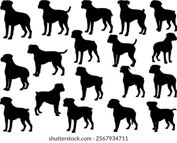 Boxer Dog silhouette on white background