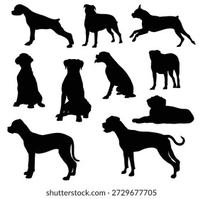 Boxer Dog Silhouette Set in Various Poses Isolated on White Background. Vector Illustration