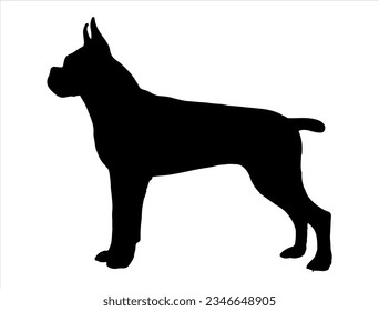 Boxer dog silhouette vector art pet animal
