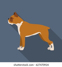 Boxer dog vector icon in flat style for web