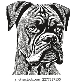 Boxer-Hund, Vektorgrafik, handgezeichnet, Kunstpferde Logo schwarz-weiß
