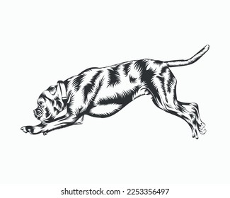 Boxer Dog Vector illustration, Boxer Dog Vector on White Background