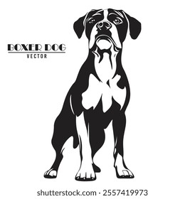 Boxer Dog Vector illustration, Boxer Dog Vector on White Background