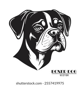 Boxer Dog Vector illustration, Boxer Dog Vector on White Background