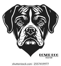 Boxer Dog Vector illustration, Boxer Dog Vector on White Background