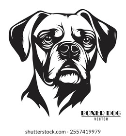 Boxer Dog Vector illustration, Boxer Dog Vector on White Background